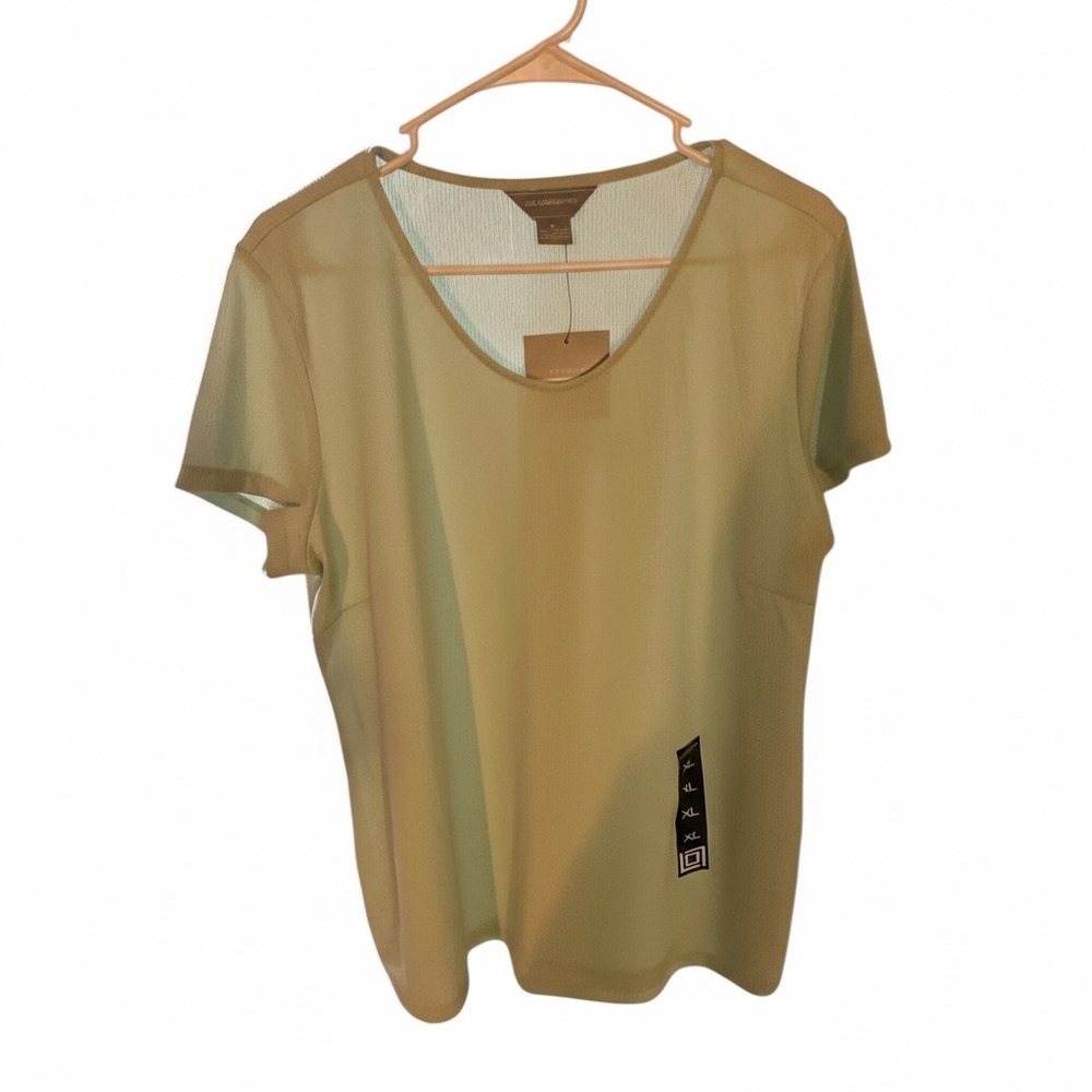 Elegant Sheer light blue Women's Top